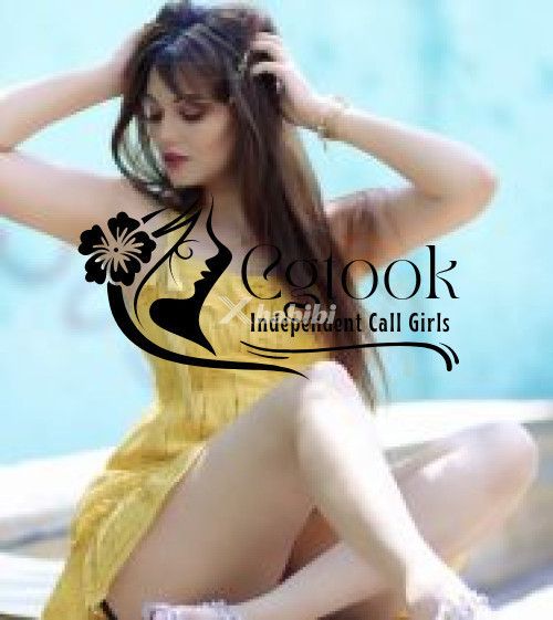 9599713271-shot-1500-night-5000-call-girls-in-adarsh-nagar-0